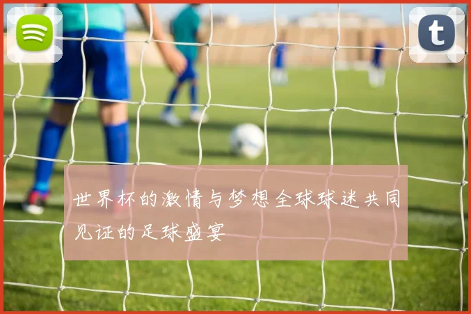 世界杯的激情与梦想全球球迷共同见证的足球盛宴