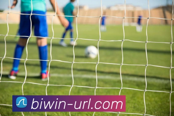 必赢官网APP 封面图